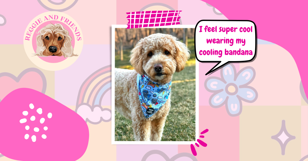 10 Refreshing Tips for Cooling Your Dog with a Bandana