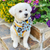 adjustable pet harness with bees and sunflowers reggie and friends