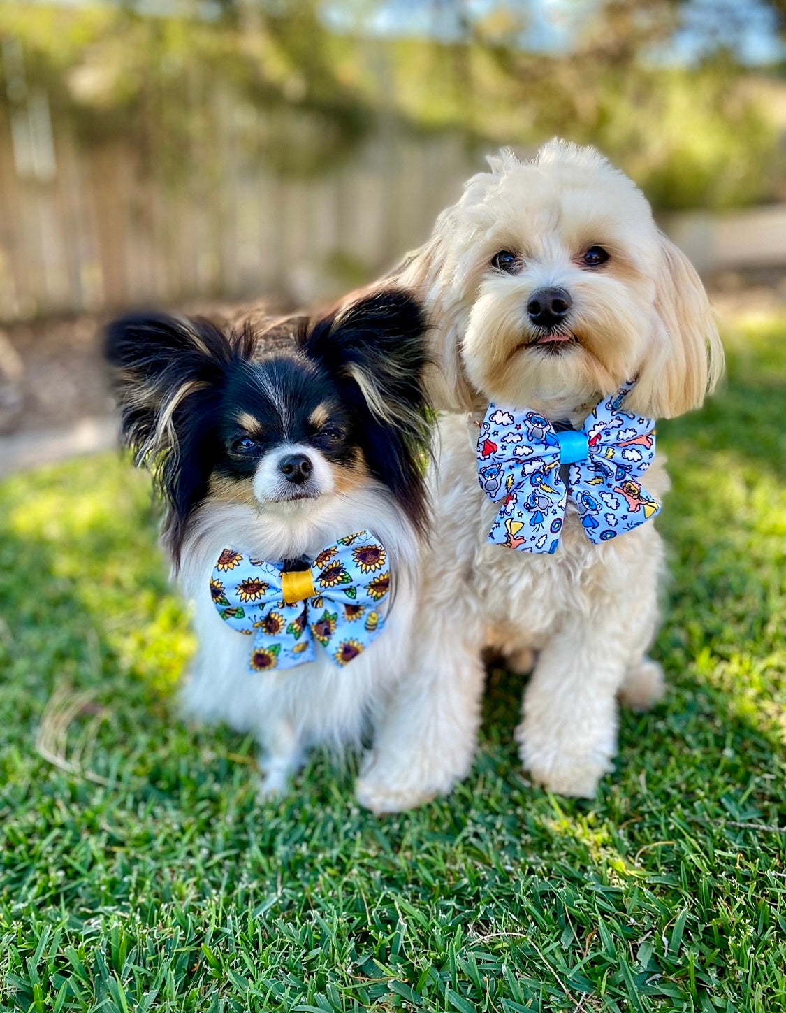Sunflower and Bee Sailor Dog Bow Tie - Reggie and Friends