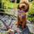 Bright Leash for pets - Reggie and Friends