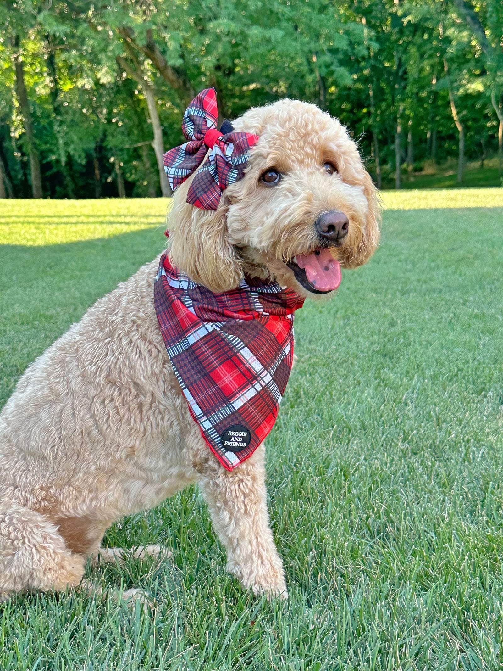 Pet bandanas for cats and little dogs - Reggie and Friends