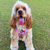 Colourful Adjustable Pet Harness - Reggie and Friends