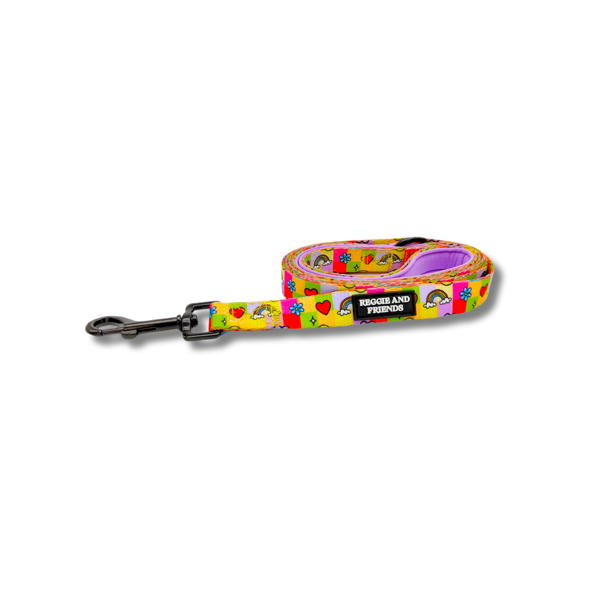 Colourful Leash for pets - Reggie and Friends
