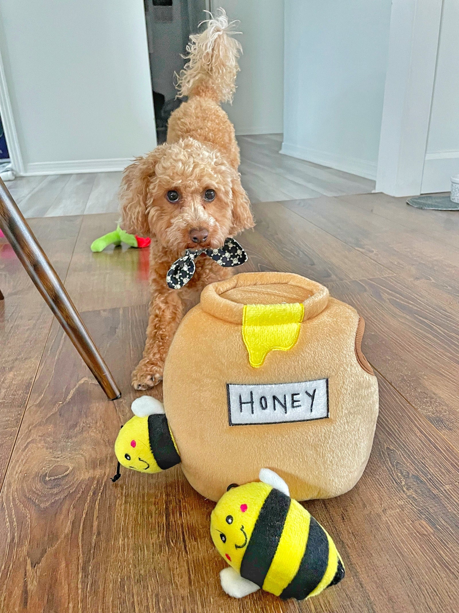 Enrichment toys for puppies, cats and dogs - Reggie and Friends