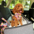 Happy Days Dog Car Seat Belt - Reggie and Friends