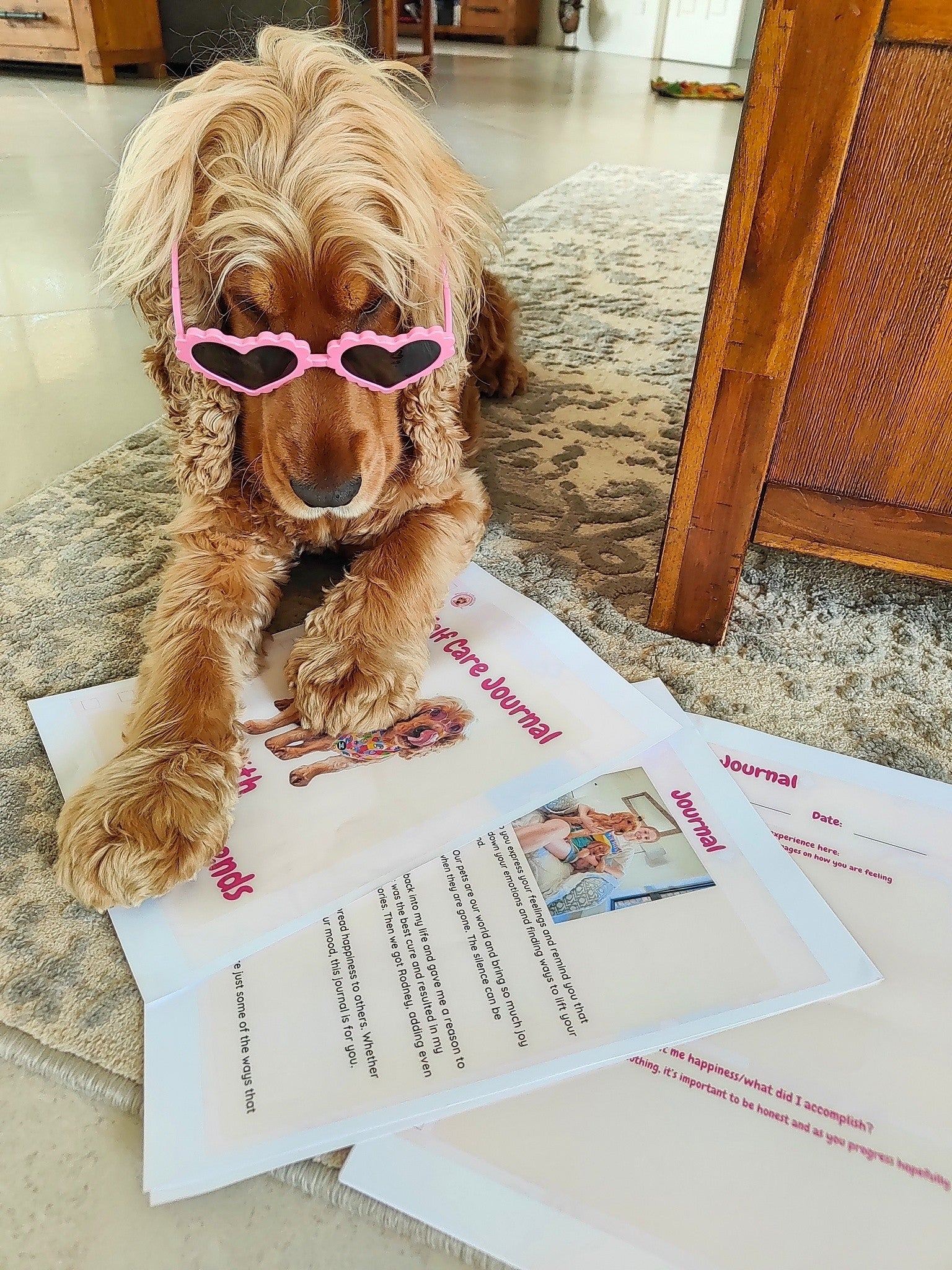 How pets help with stress and mental health - Reggie and Friends