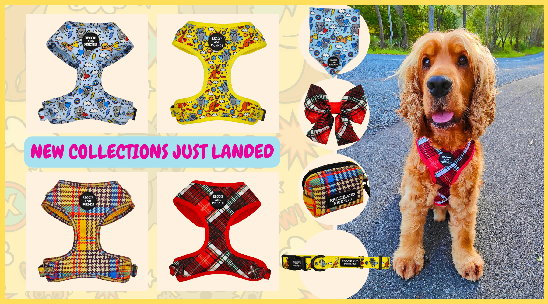 new dog harness bundles and collections available