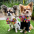 Small Dog Pet Bow - Reggie and Friends
