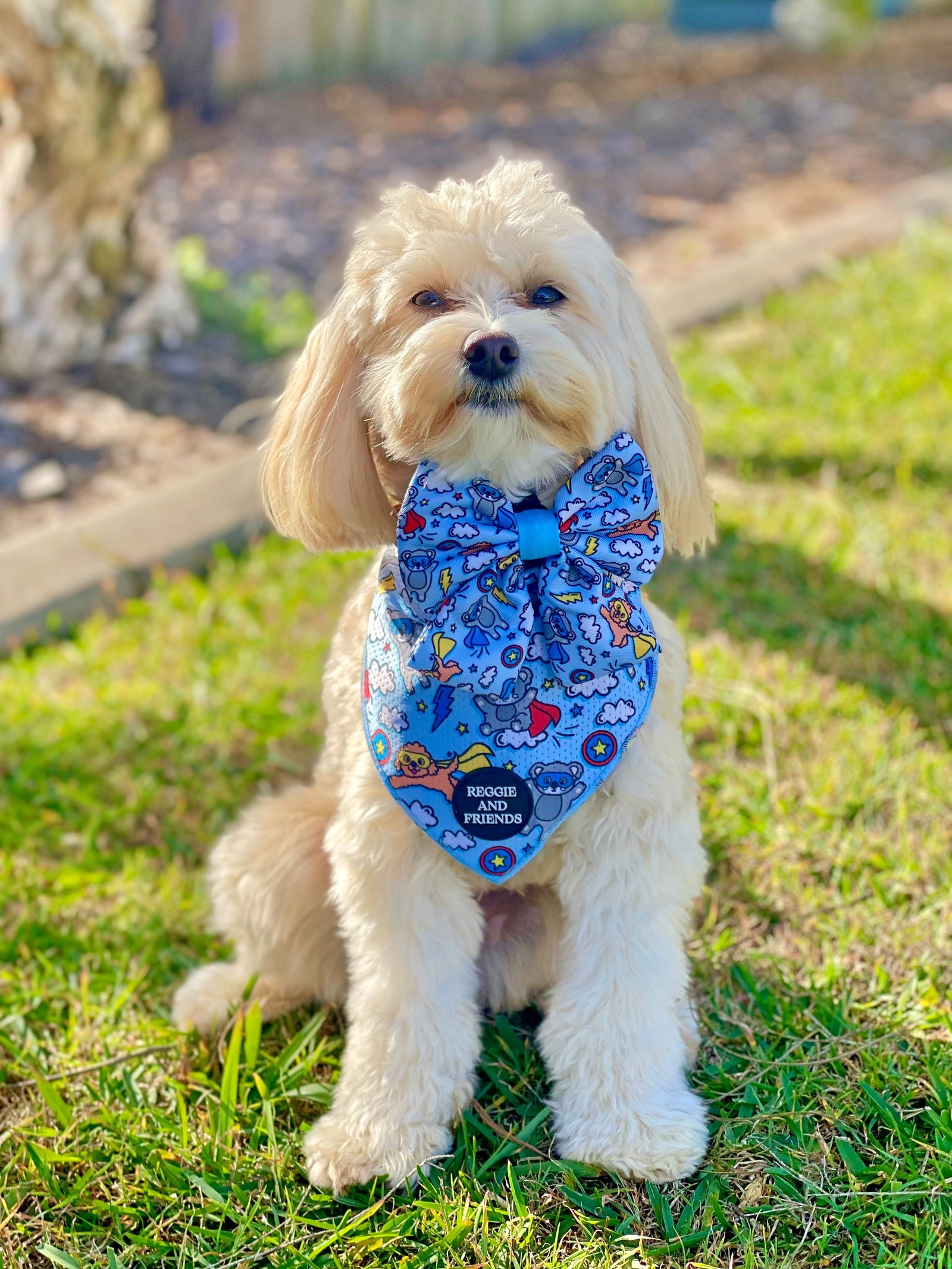 Dog bowtie collar - Reggie and Friends