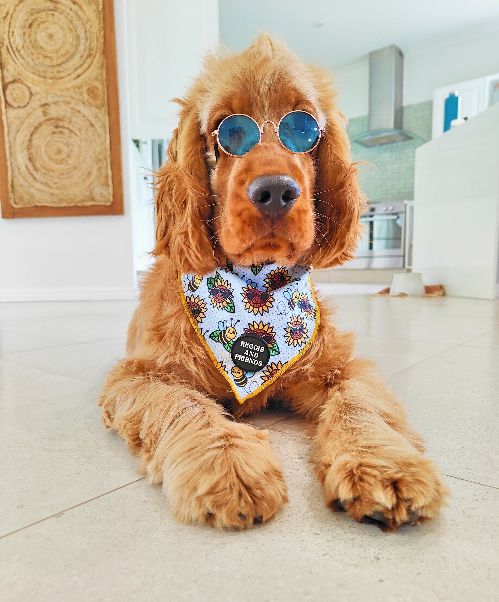 John Lennon Sunglass  - Reggie and Friends