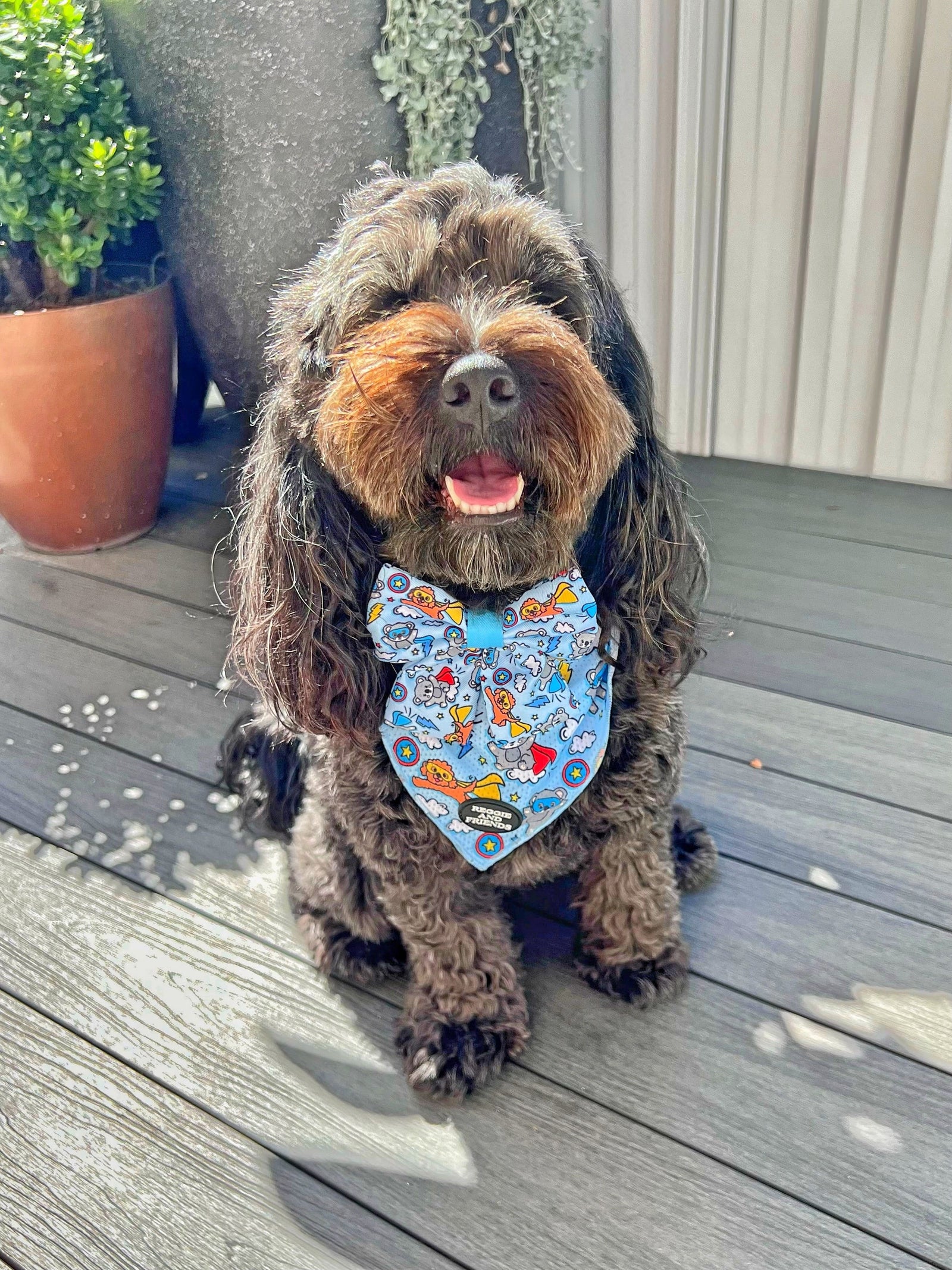 Best Dog Sailor Bow Tie Australia - Reggie and Friends