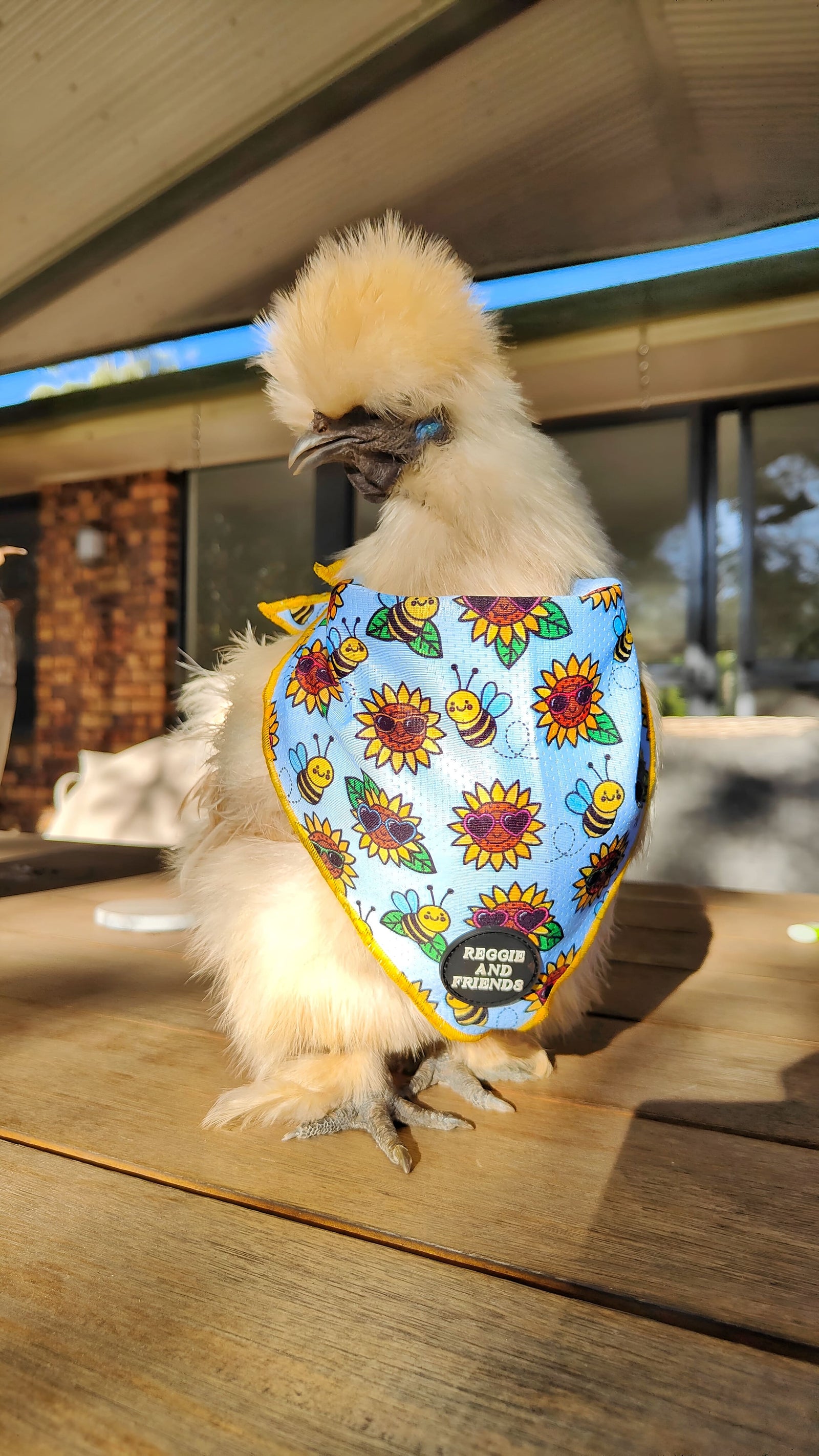 Cute Chicken Scarf Reggie and Friends