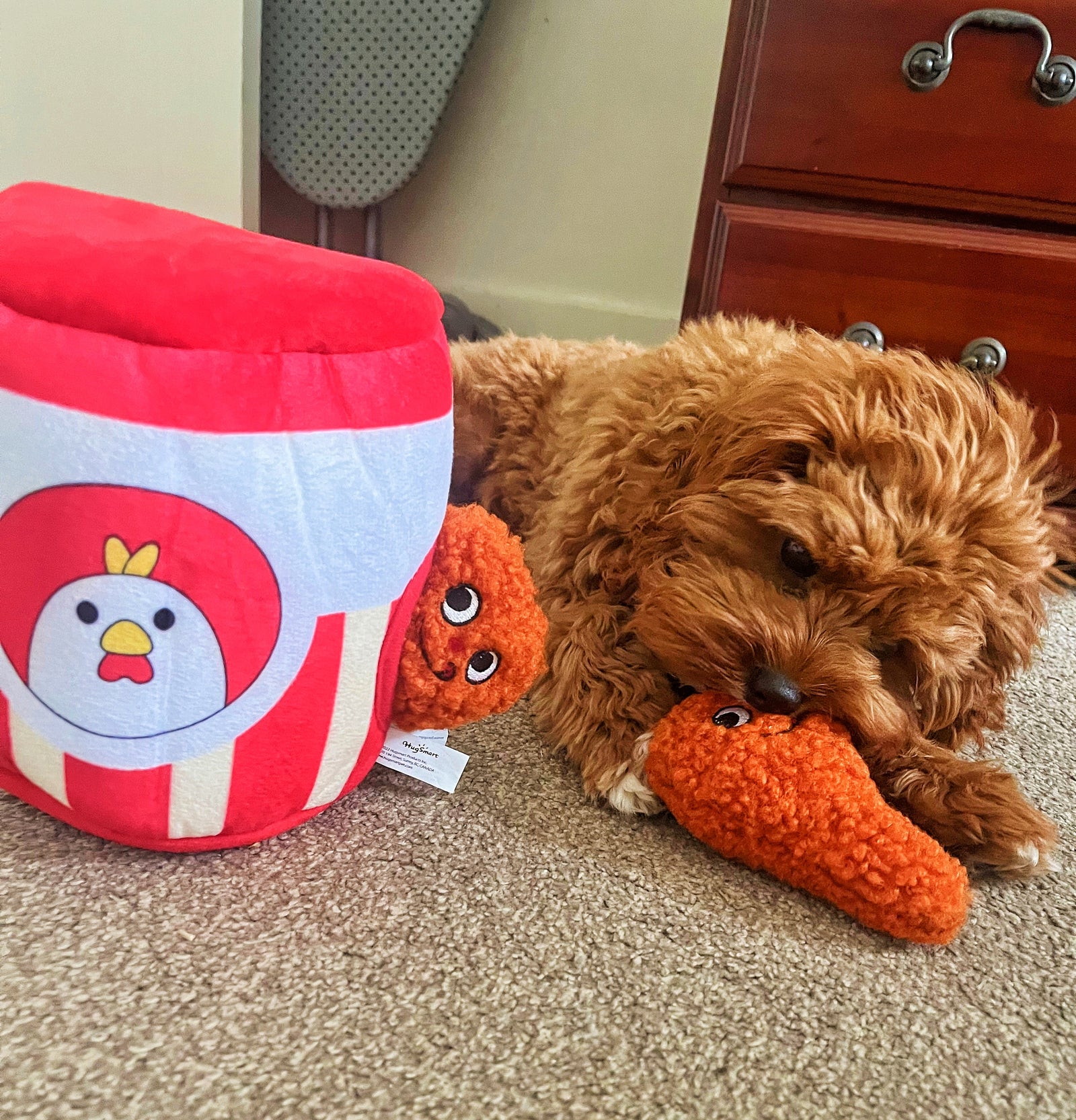 Pet enrichment puzzle toy - Reggie and Friends Pet Accessories