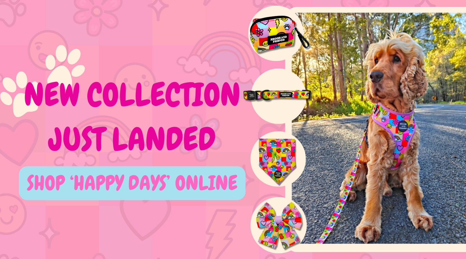 Pet accessories online shop shop