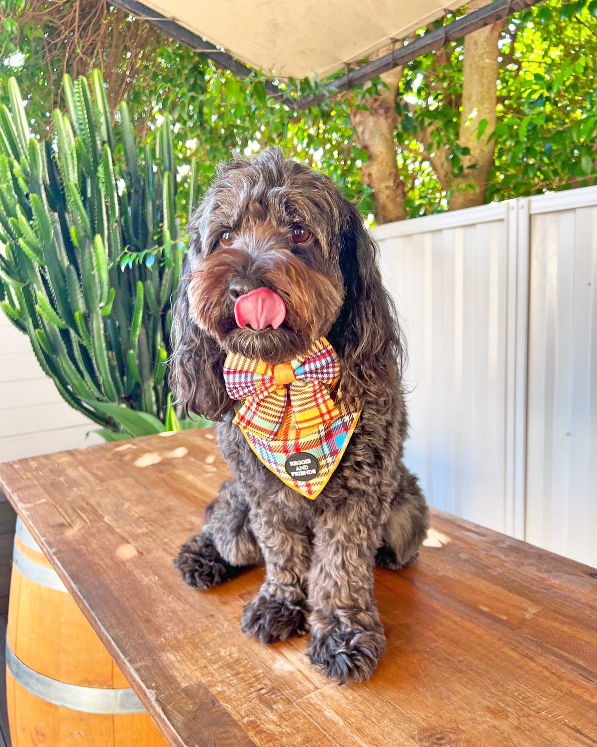 Tartan Scottish dog bow tie - Reggie and Friends