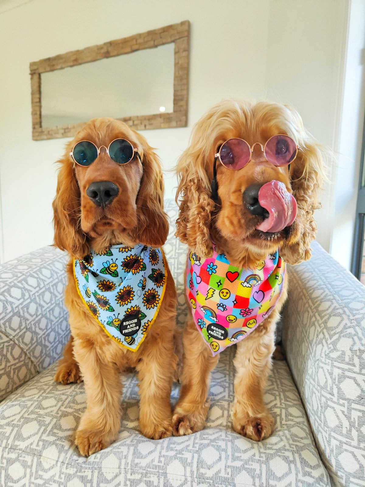 Round Fashion Dog Glasses with sunglass Strap - Reggie and Friends