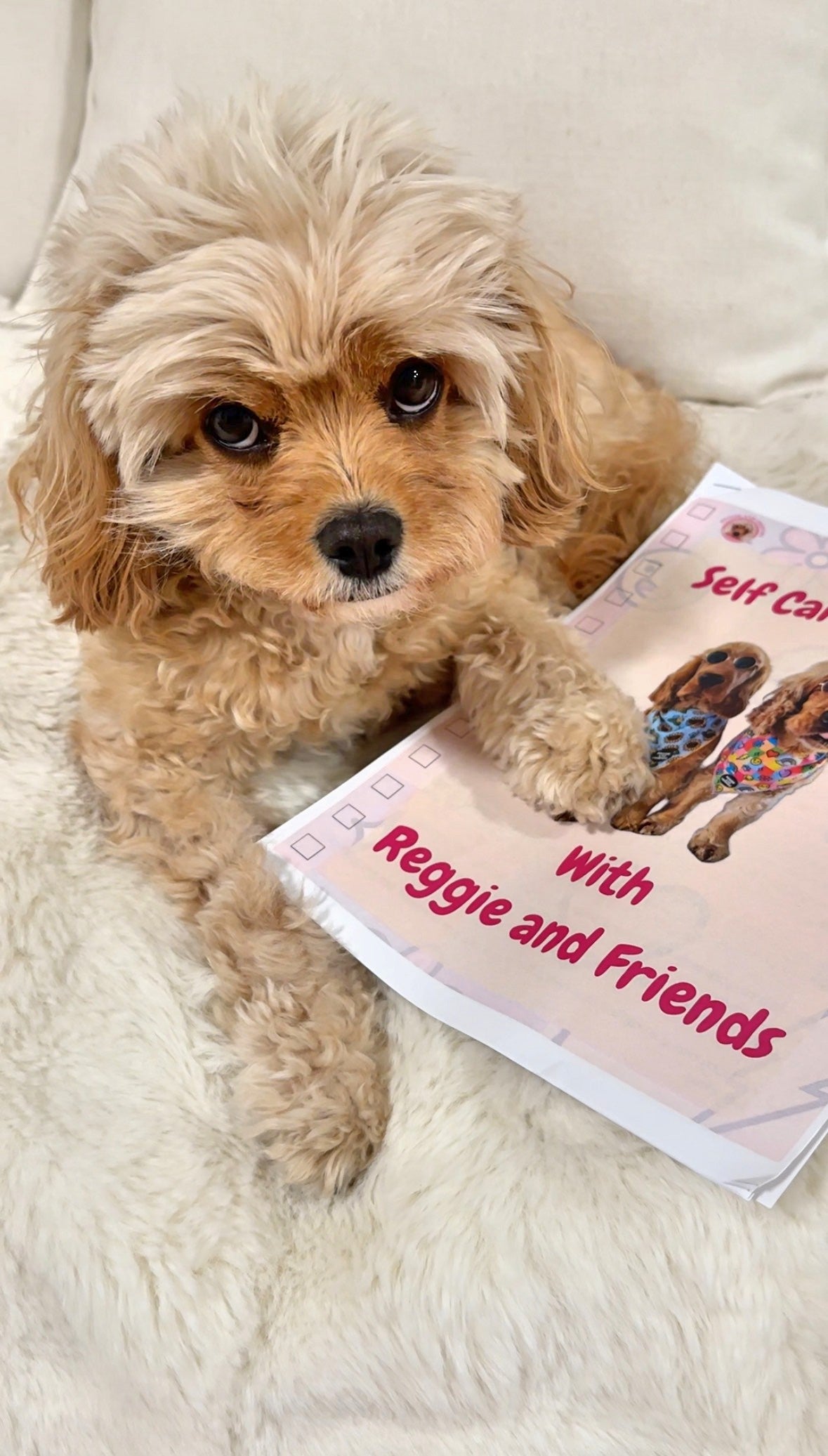 How do dogs help with depression and anxiety - Reggie and Friends