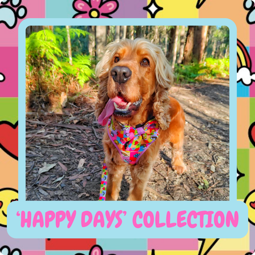 Pet Size Chart Measure your pet correctly for our products Reggie