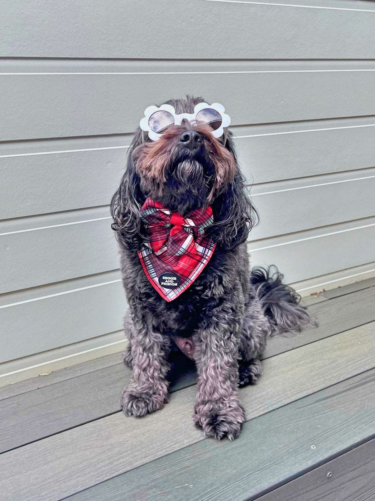 Tie Up Dog Bandana Australia  Reggie and Friends