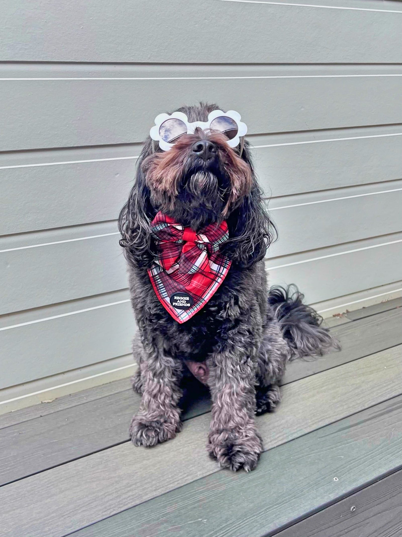 Tie Up Dog Bandana Australia  Reggie and Friends