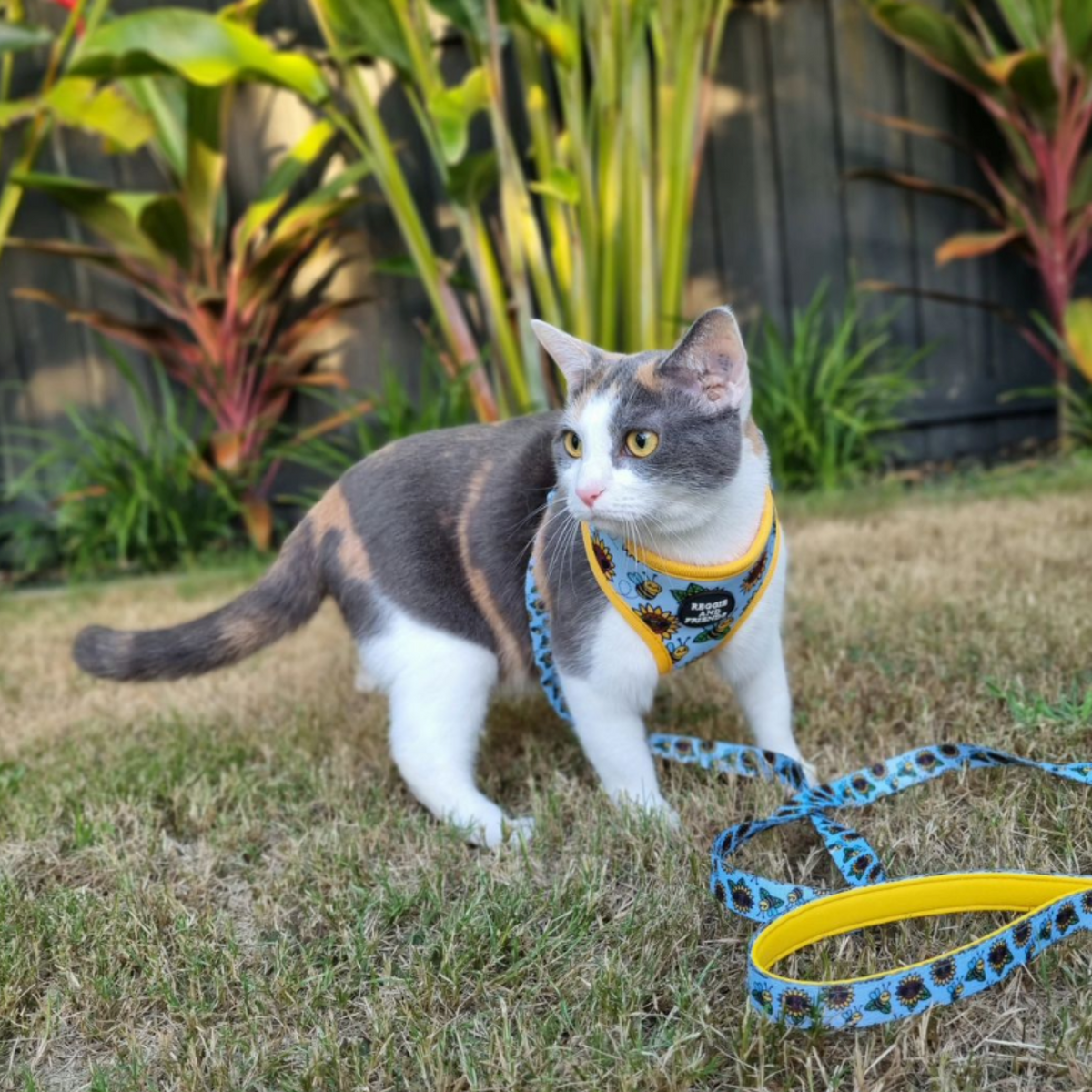Sunflower and Bee Cat Lead - Reggie and Friends