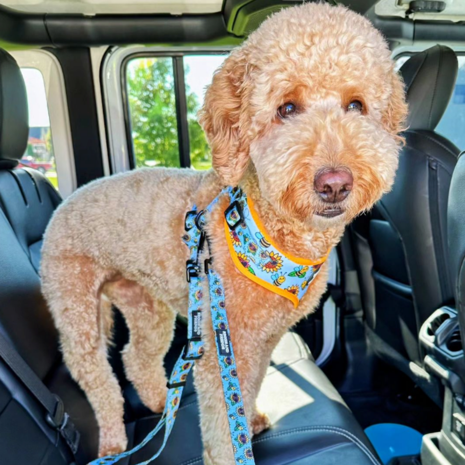 Sunflower and Bee Dog Car Seatbelt - Reggie and Friends