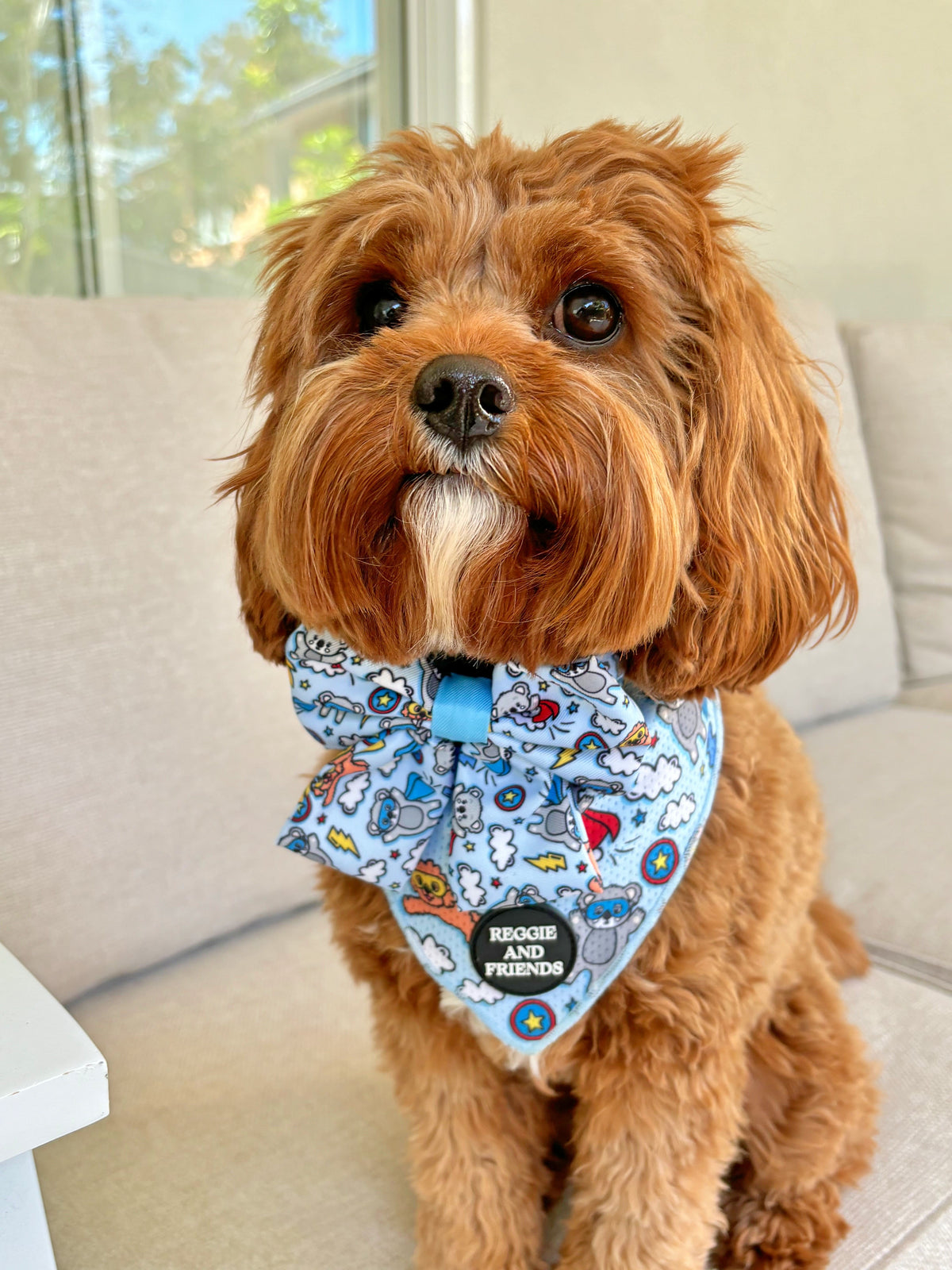 Dog Bow ties Australia - Reggie and Friends