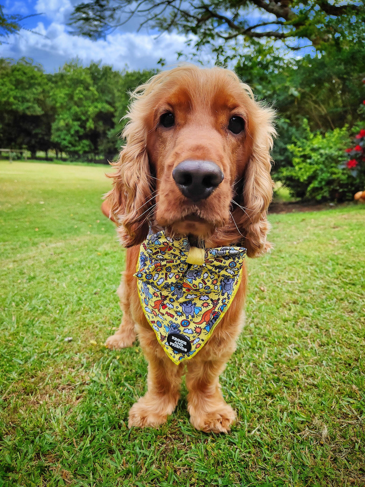 Premium Pet Bow Tie for Dogs - Reggie and Friends