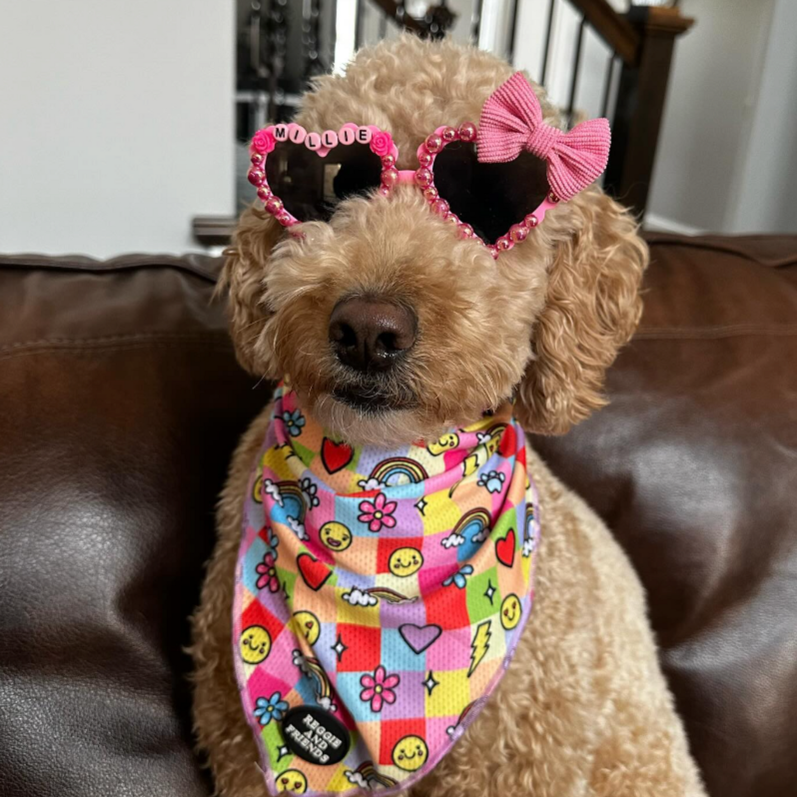 dog bandana - Reggie and Friends